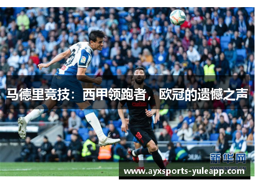 马德里竞技：西甲领跑者，欧冠的遗憾之声