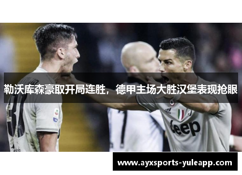 勒沃库森豪取开局连胜，德甲主场大胜汉堡表现抢眼