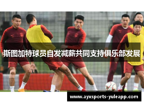 斯图加特球员自发减薪共同支持俱乐部发展